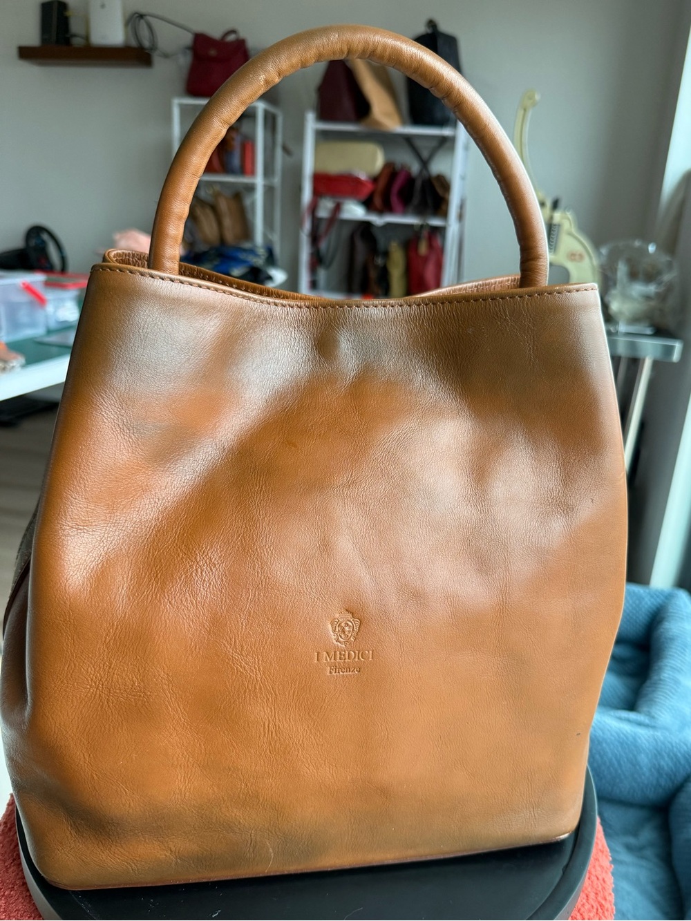 Italian Firenze Divina Leather Bucket Bag